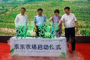 半岛网页版登录入口