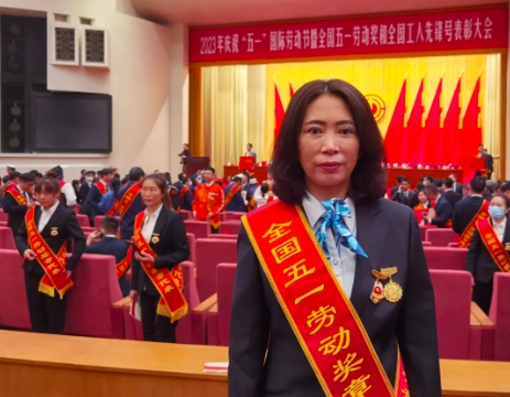 半岛网页版登录入口